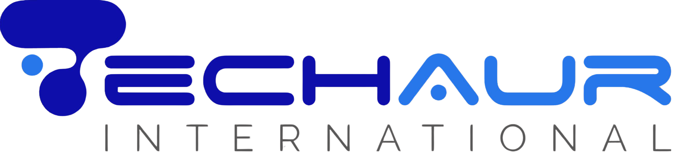 TechAur International